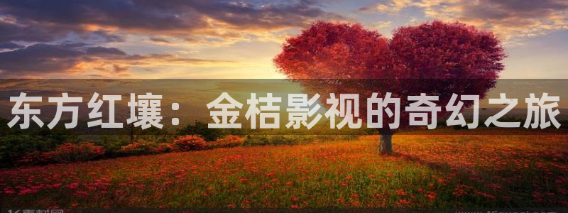 天龙电影院免费观看：东方红壤：金桔影视的奇幻之旅