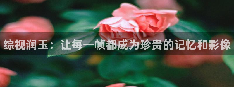 天龙旗舰：综视润玉：让每一帧都成为珍贵的记忆和影像