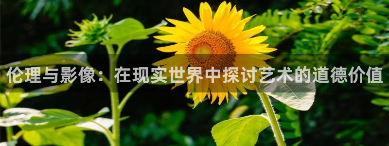 天龙影院免费观看：伦理与影像：在现实世界中探讨艺术的道德价值