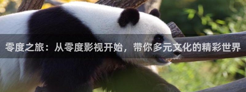 天龙影院远古电影免费观看：零度之旅：从零度影视开始，带你多元文化的精彩世界