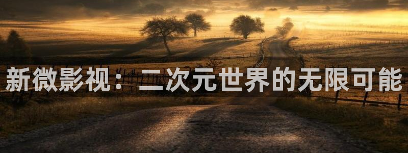 天龙影视网：新微影视：二次元世界的无限可能
