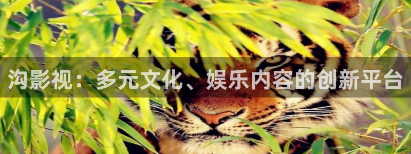 denon天龙：沟影视：多元文化、娱乐内容的创新平台