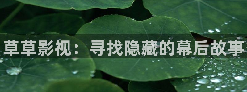denon 天龙：草草影视：寻找隐藏的幕后故事