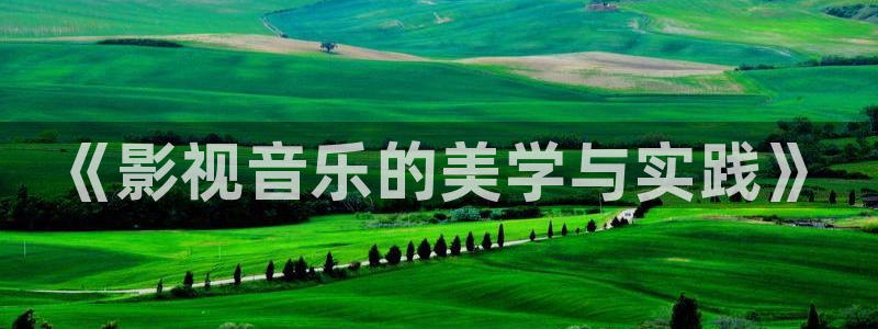 天龙影院打扑克：《影视音乐的美学与实践》